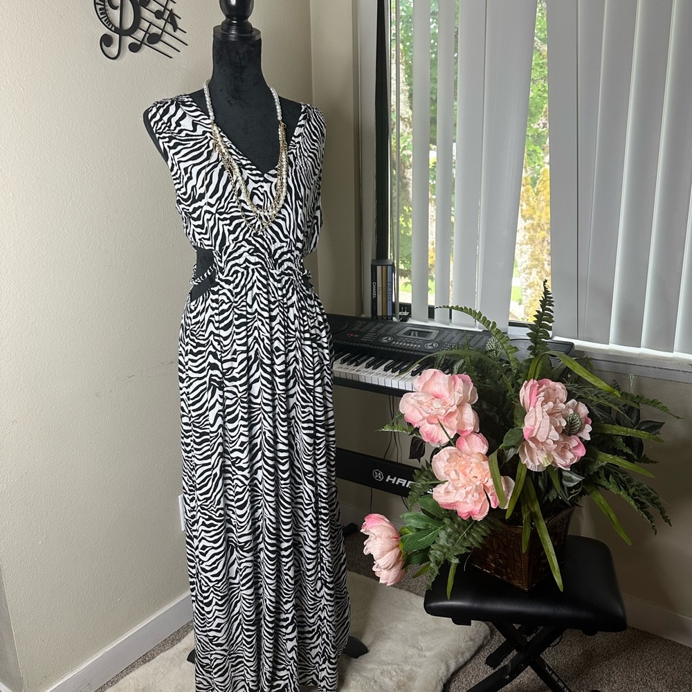 Arden B Black and White Zebra Maxi Dress